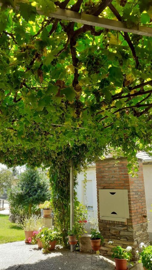 El Maragato Villa Castrillo de Cepeda Kültér fotó